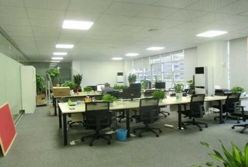 河南孩子益生菌菌粉品质好