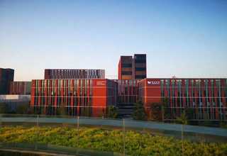 成都酒瓶软木塞厂家直销