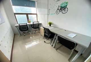 冬季灭鼠服务咨询