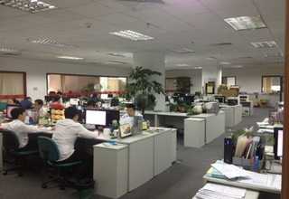 丹阳发财树租赁成交价