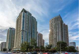 台州三门县绿化花卉绿植