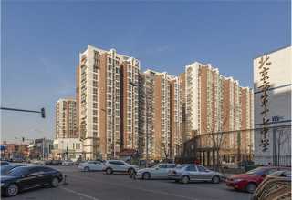 嘉兴胶合板托盘哪里好